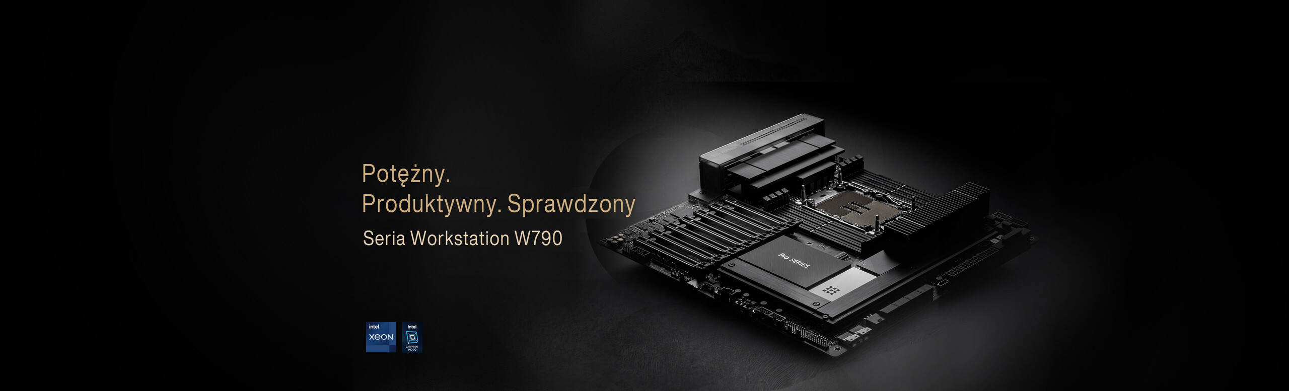 pro ws w790e